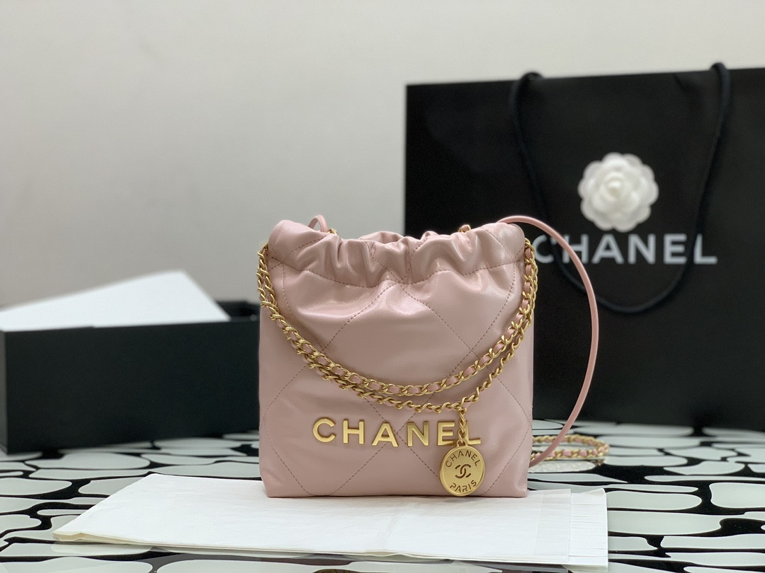 Chanle 22 Backpack Mini