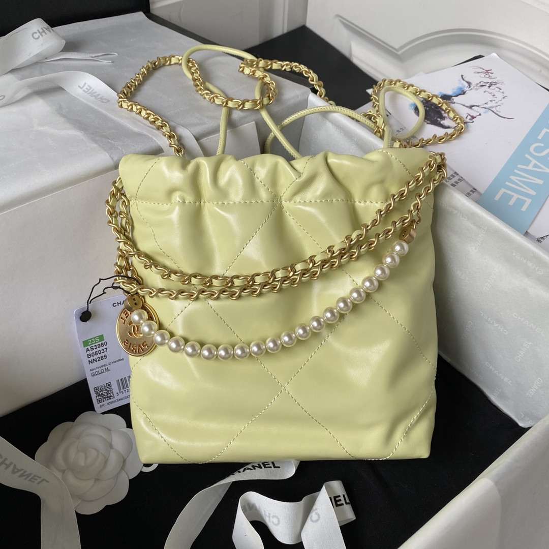 Chanle 22 Backpack Mini