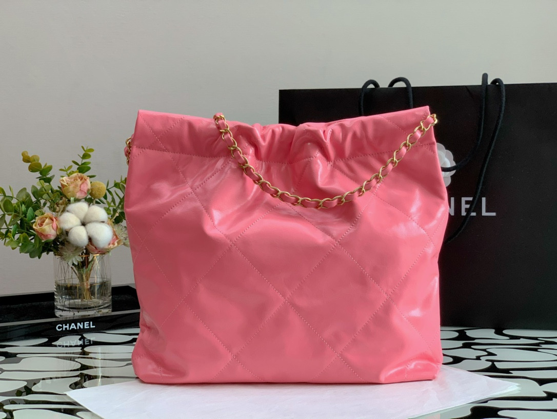 Chanle 22 Backpack