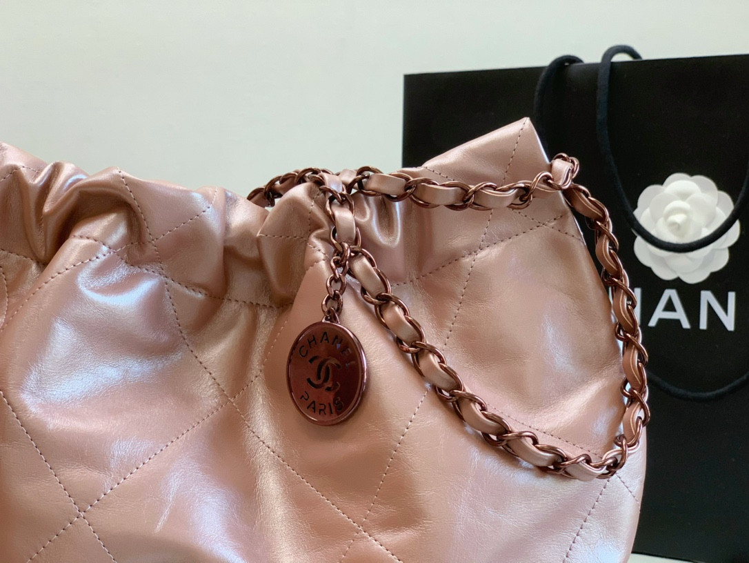 Chanle 22 Backpack