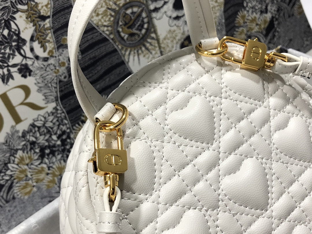 Dior Backpack