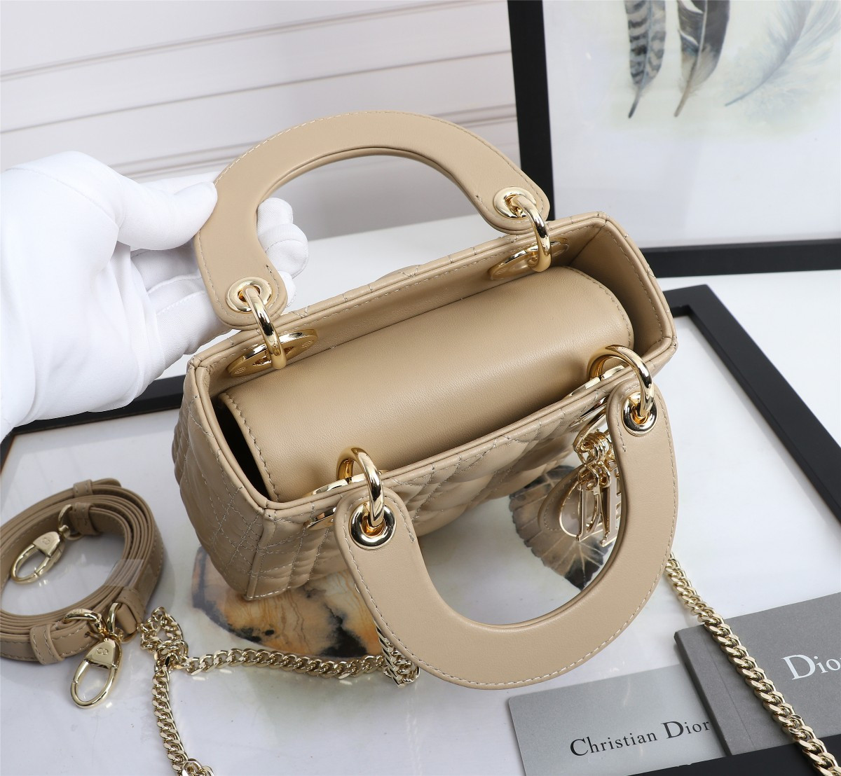 Mini Lady Dior Bag