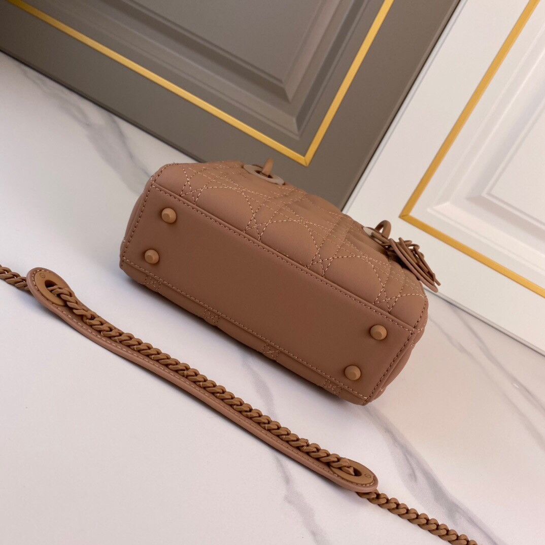 Mini Lady Dior Bag
