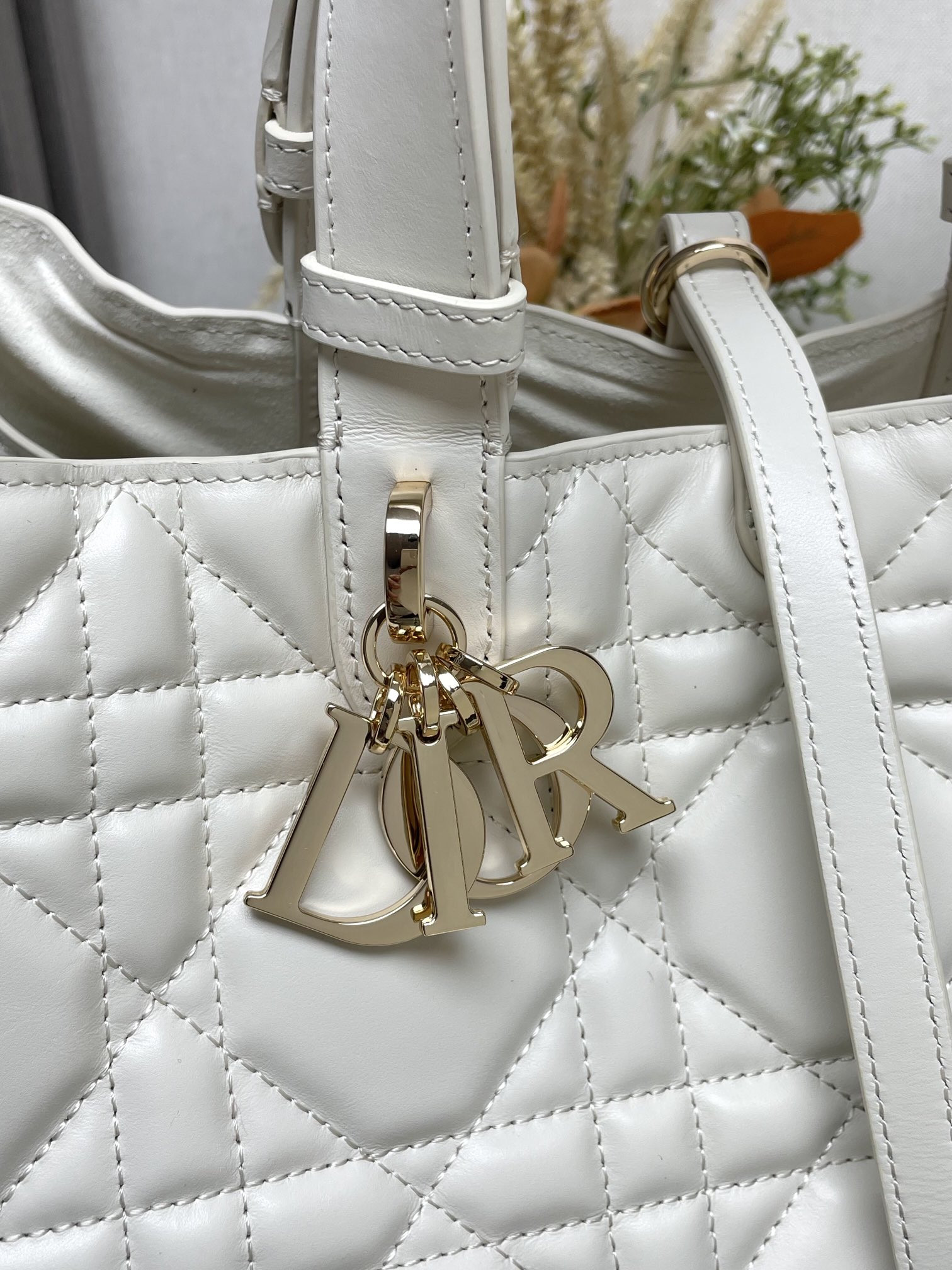 Dior Toujours Bag
