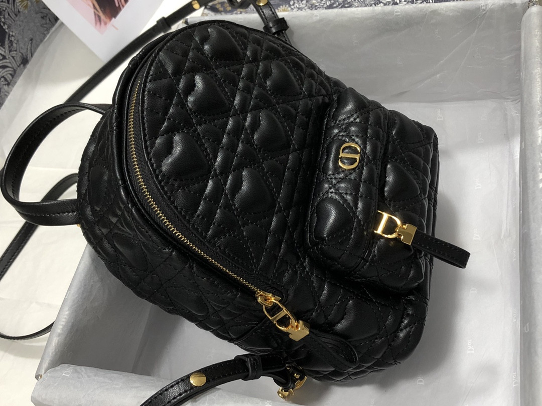 Dior Backpack