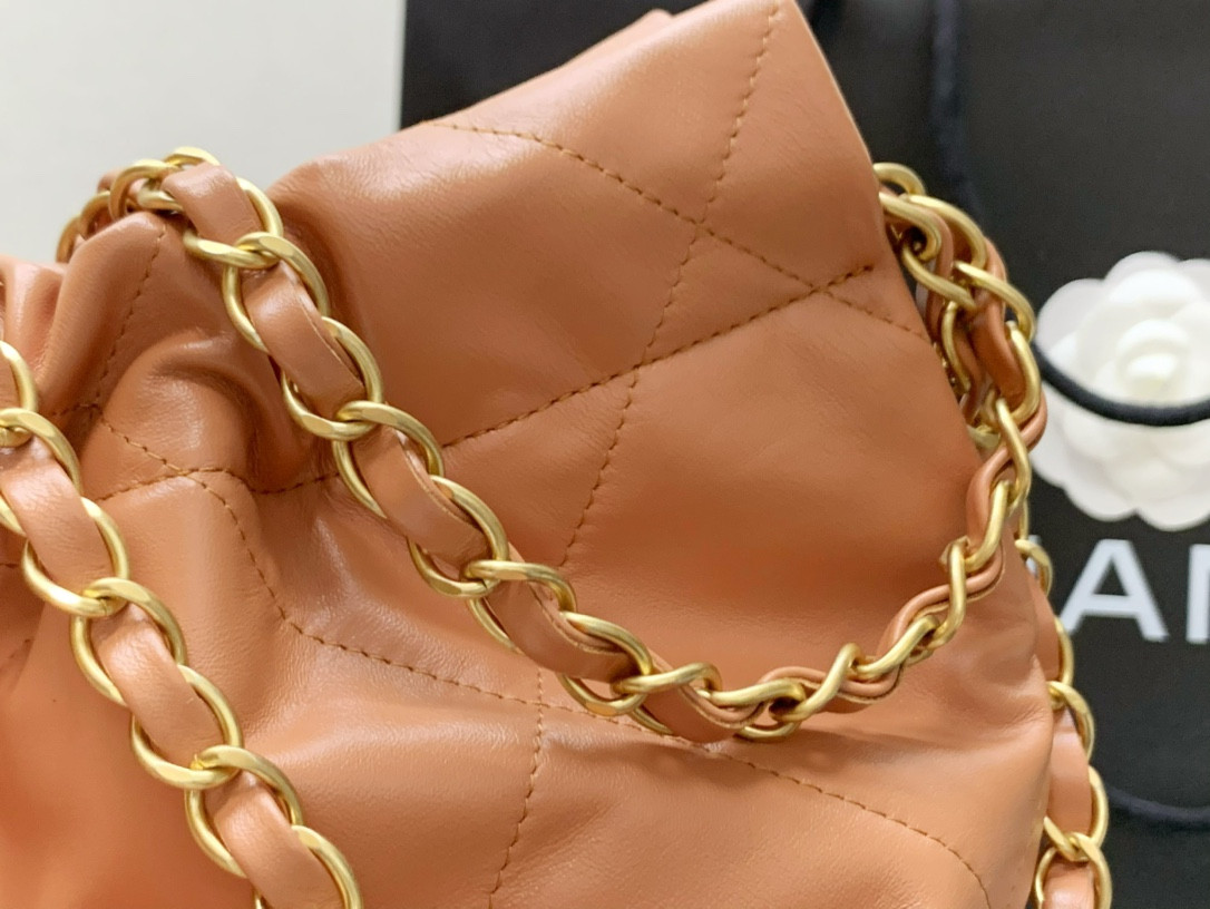 Chanle 22 Backpack