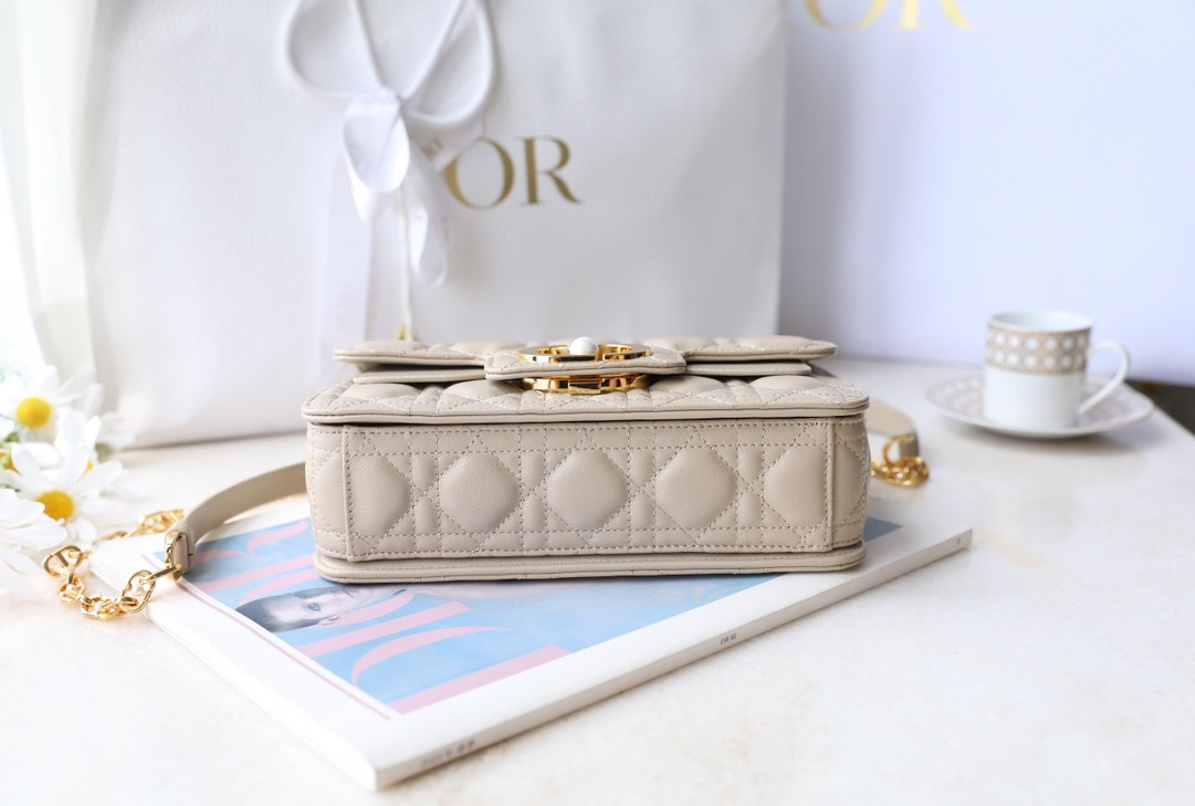 Dior Jolie Bag