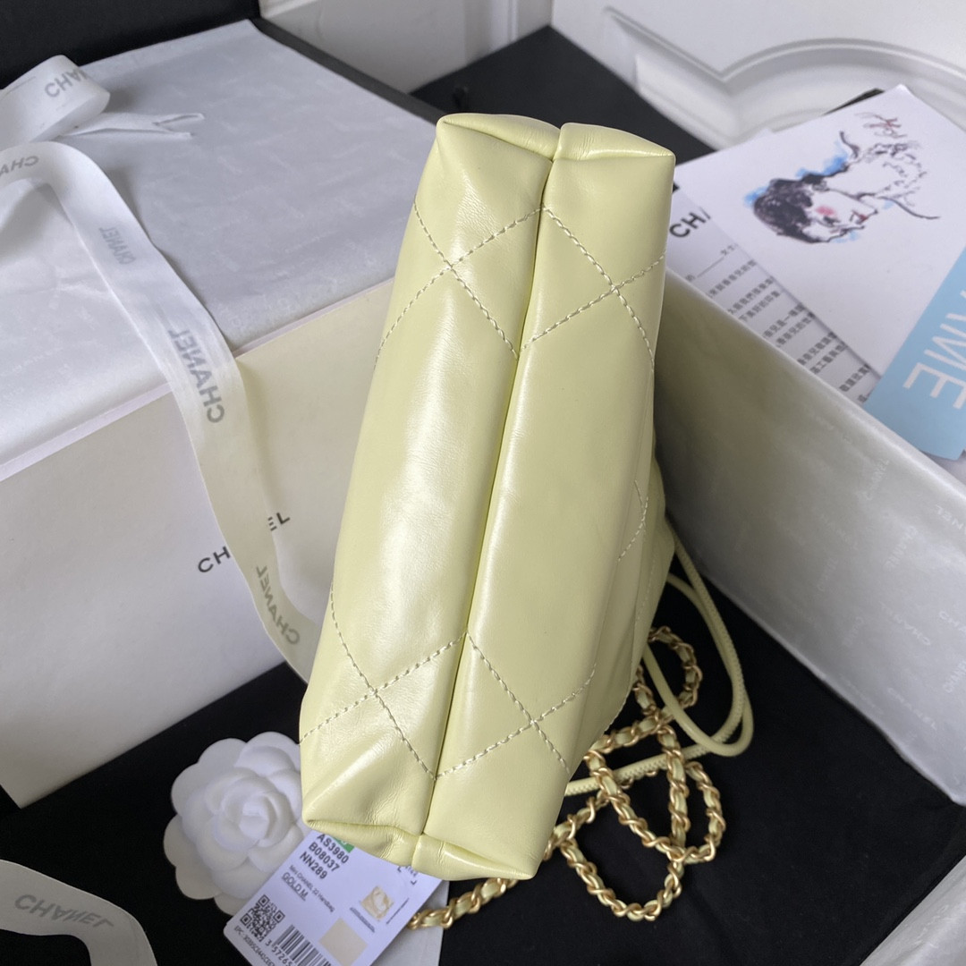 Chanle 22 Backpack Mini