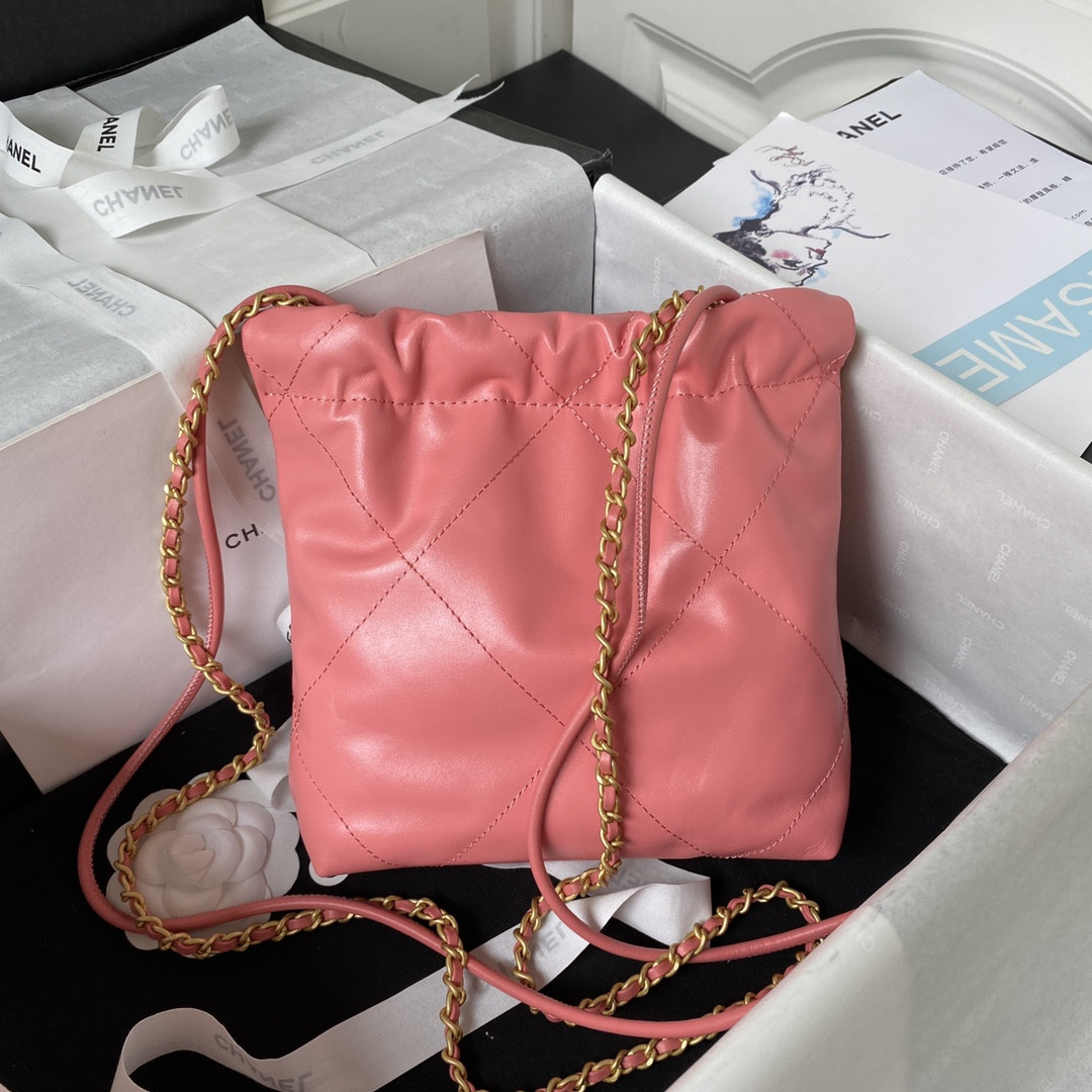 Chanle 22 Backpack Mini