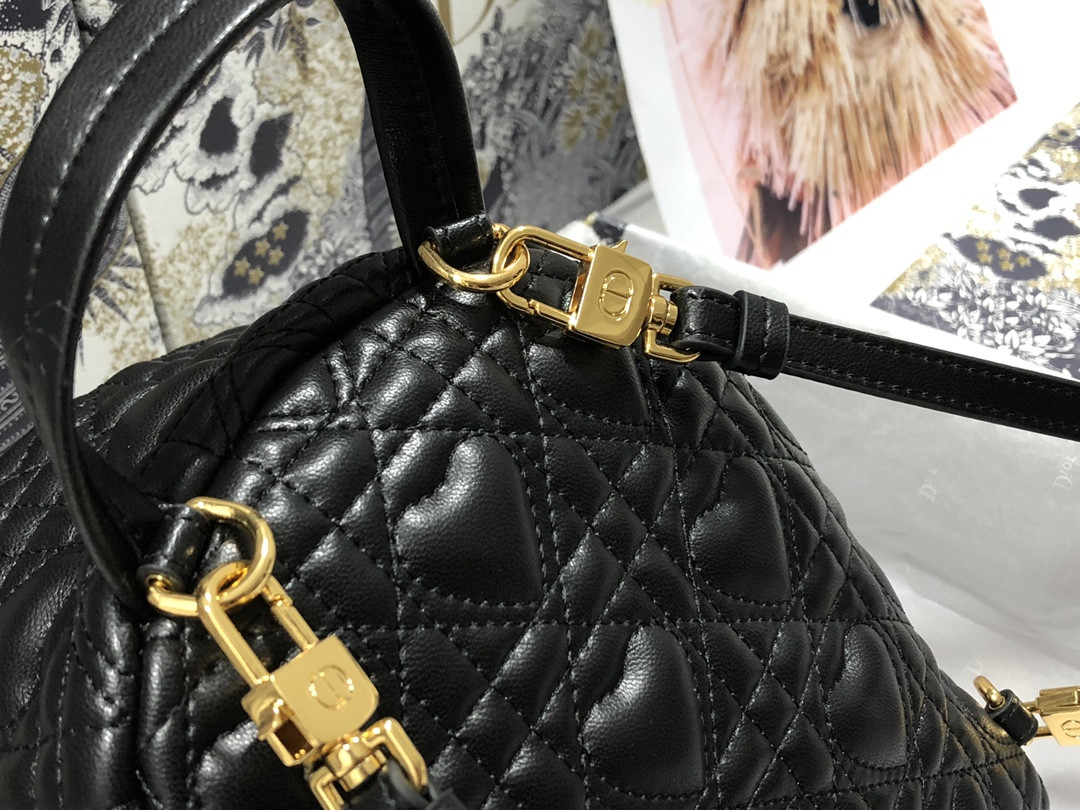 Dior Backpack