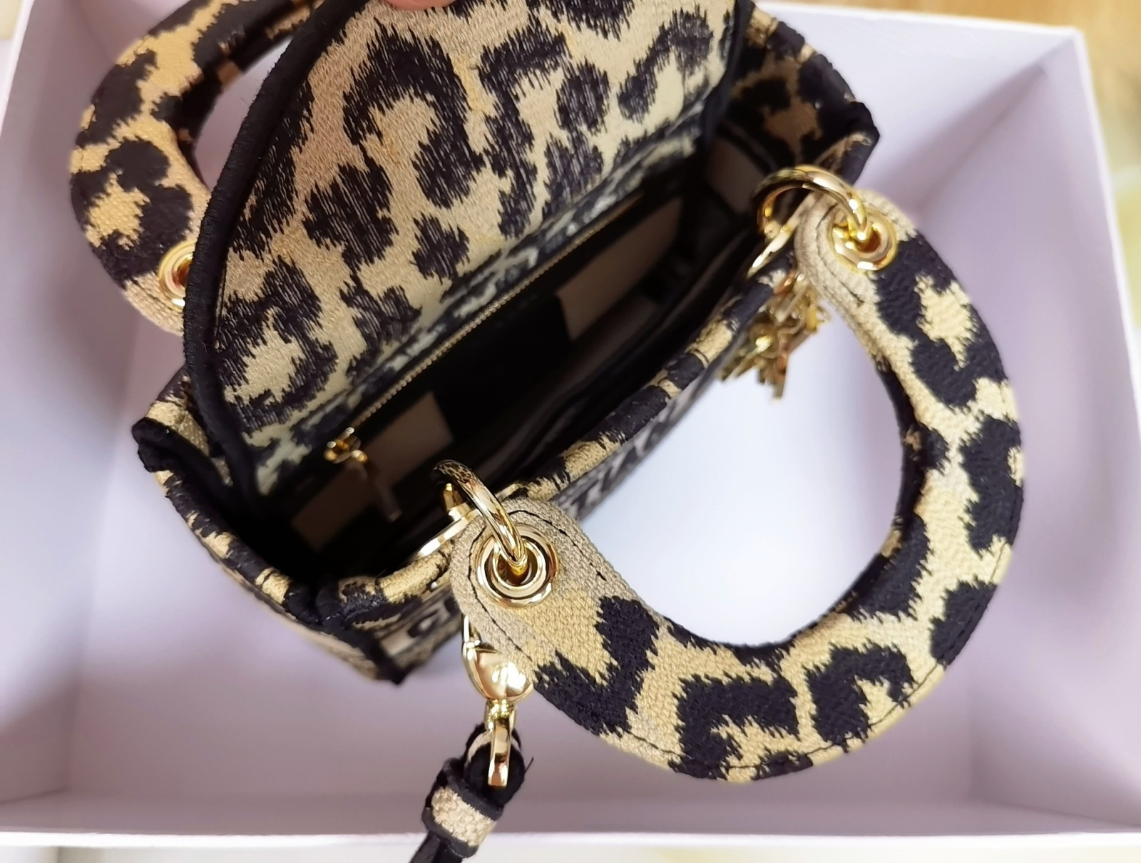 Mini Lady Dior Bag