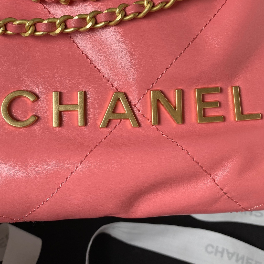 Chanle 22 Backpack Mini