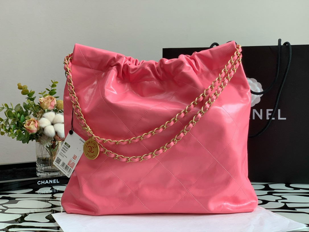 Chanle 22 Backpack