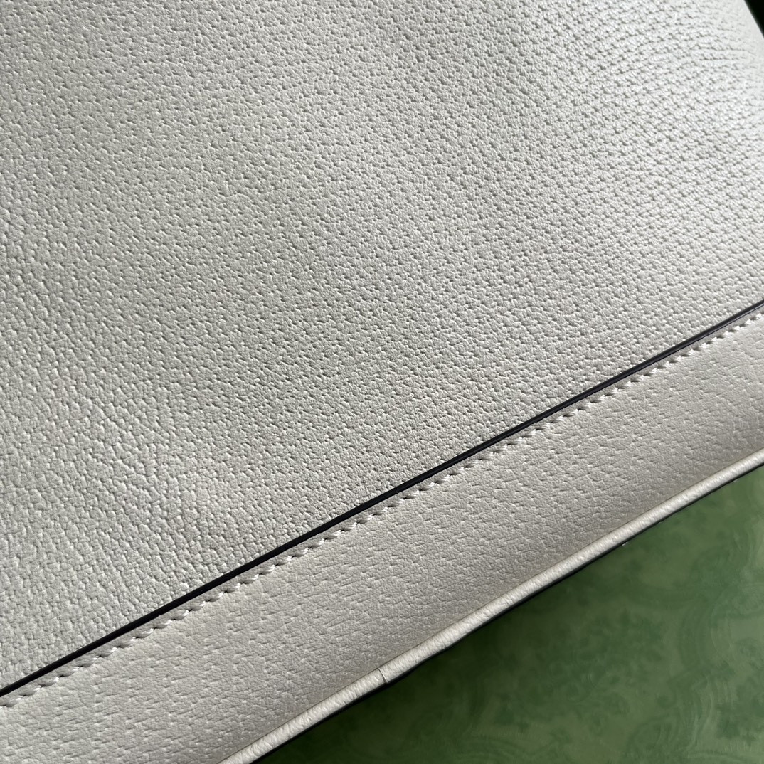 G*u*i ophidia bag