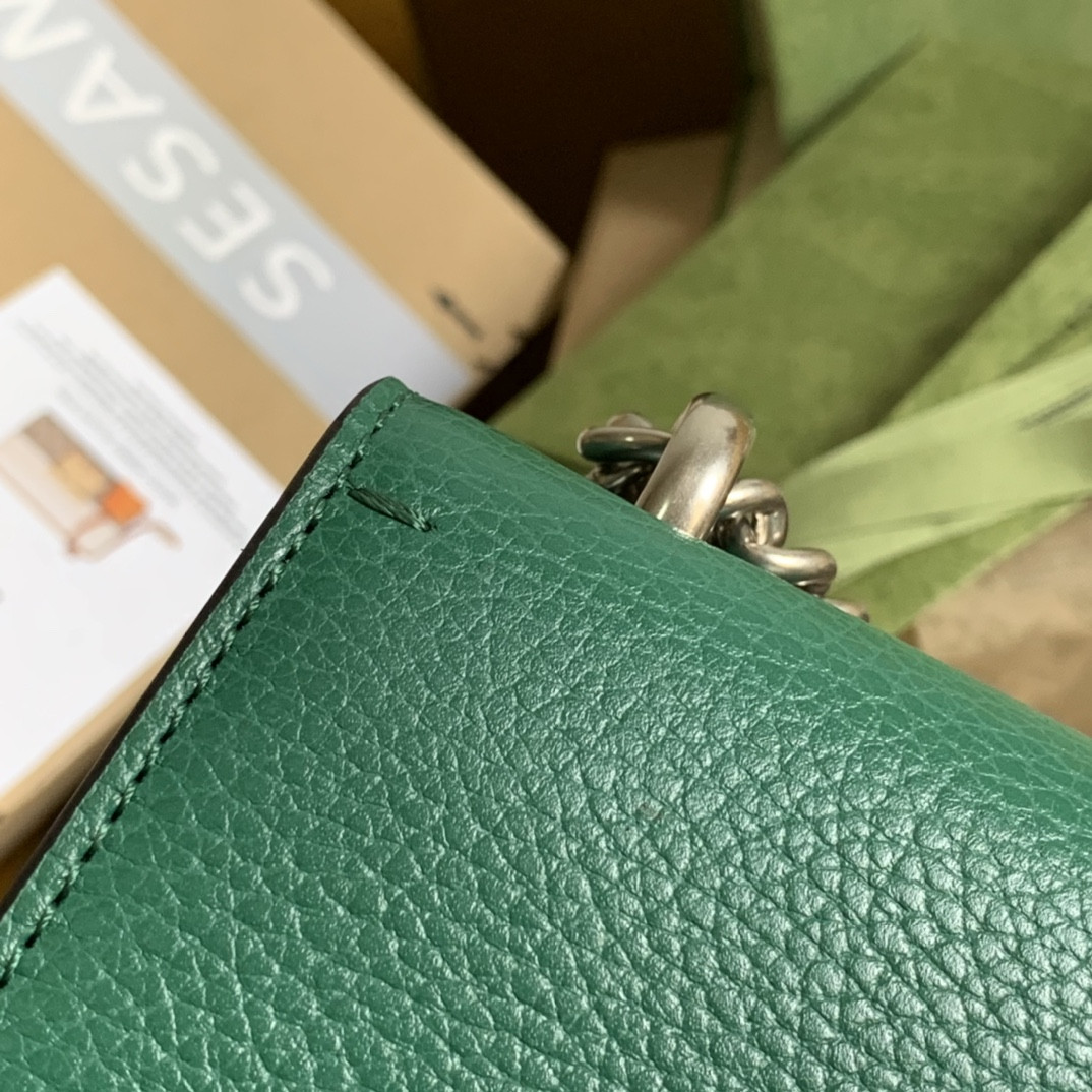 G*u*i dionysus bag