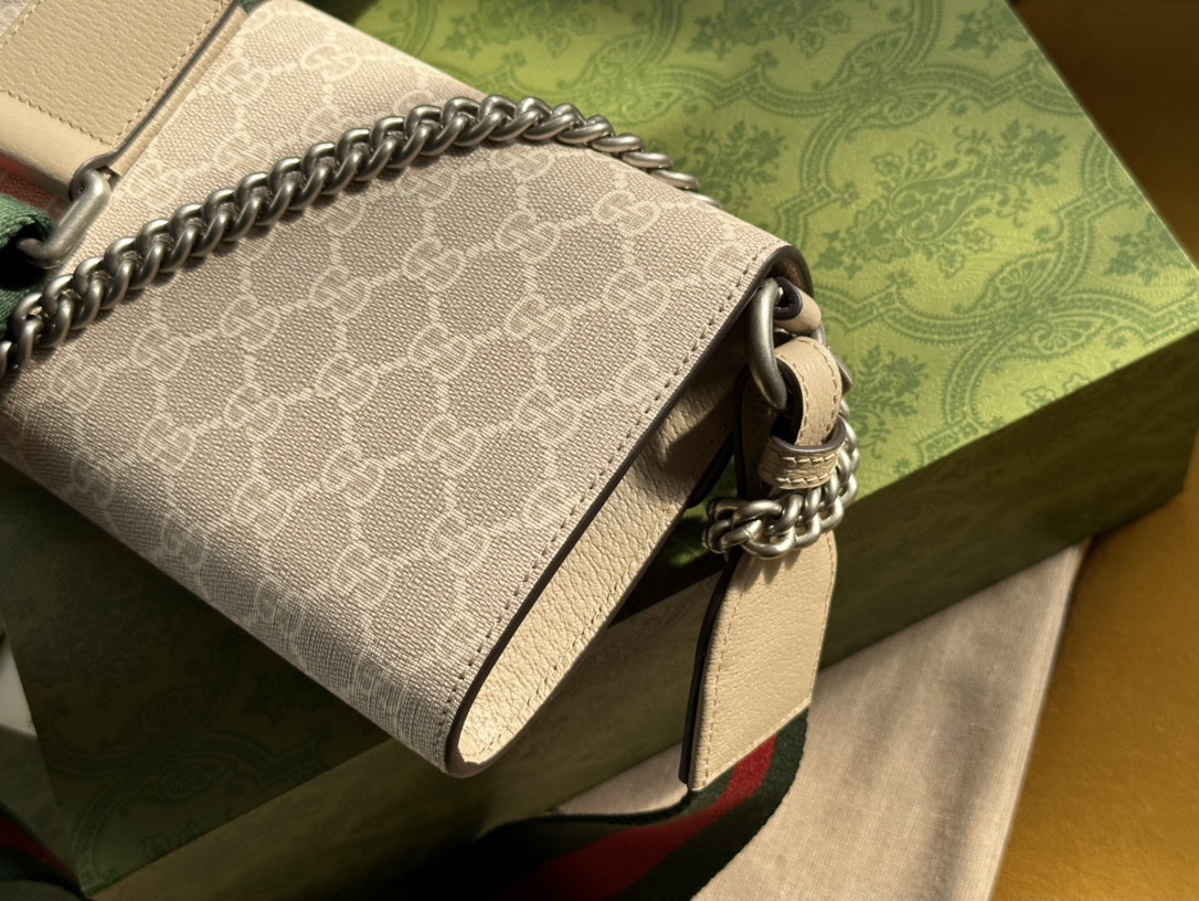 G*u*i dionysus bag