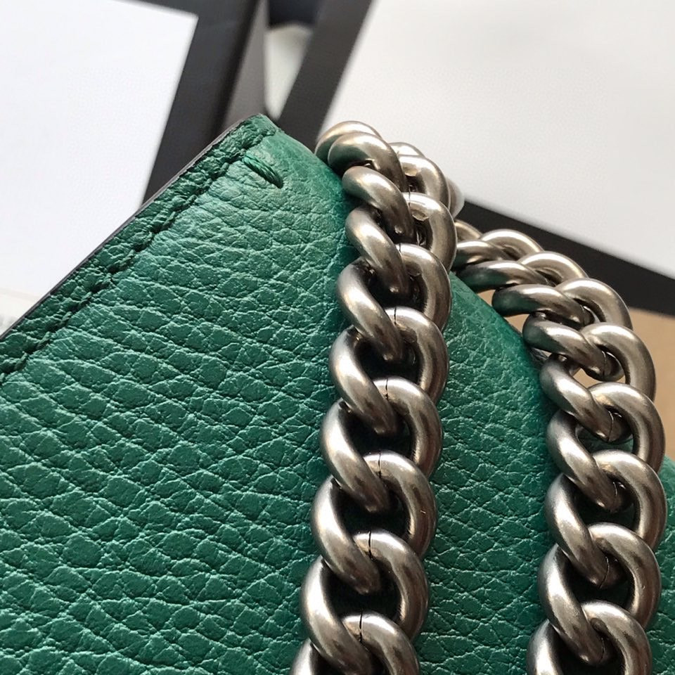 G*u*i dionysus bag